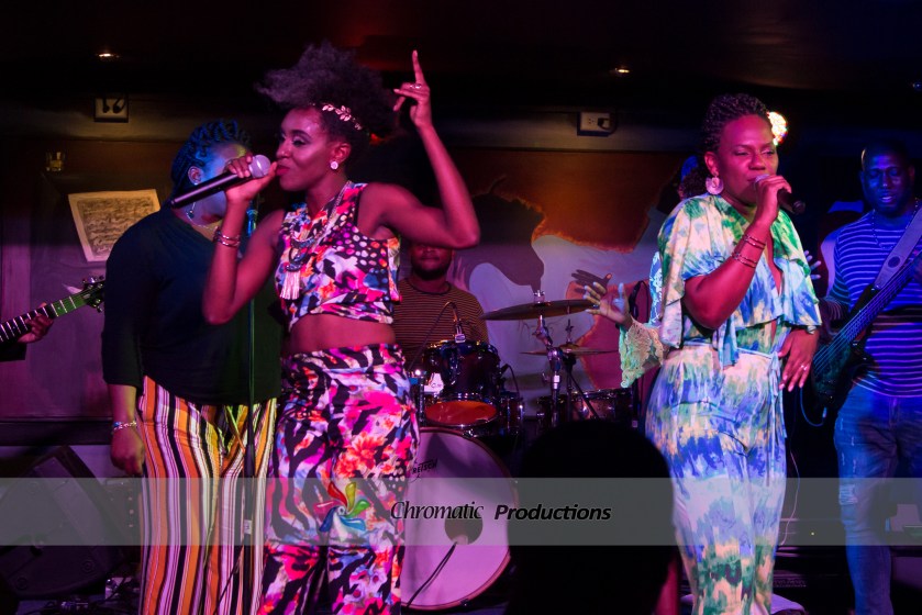 Dear Noelle (60 of 75)